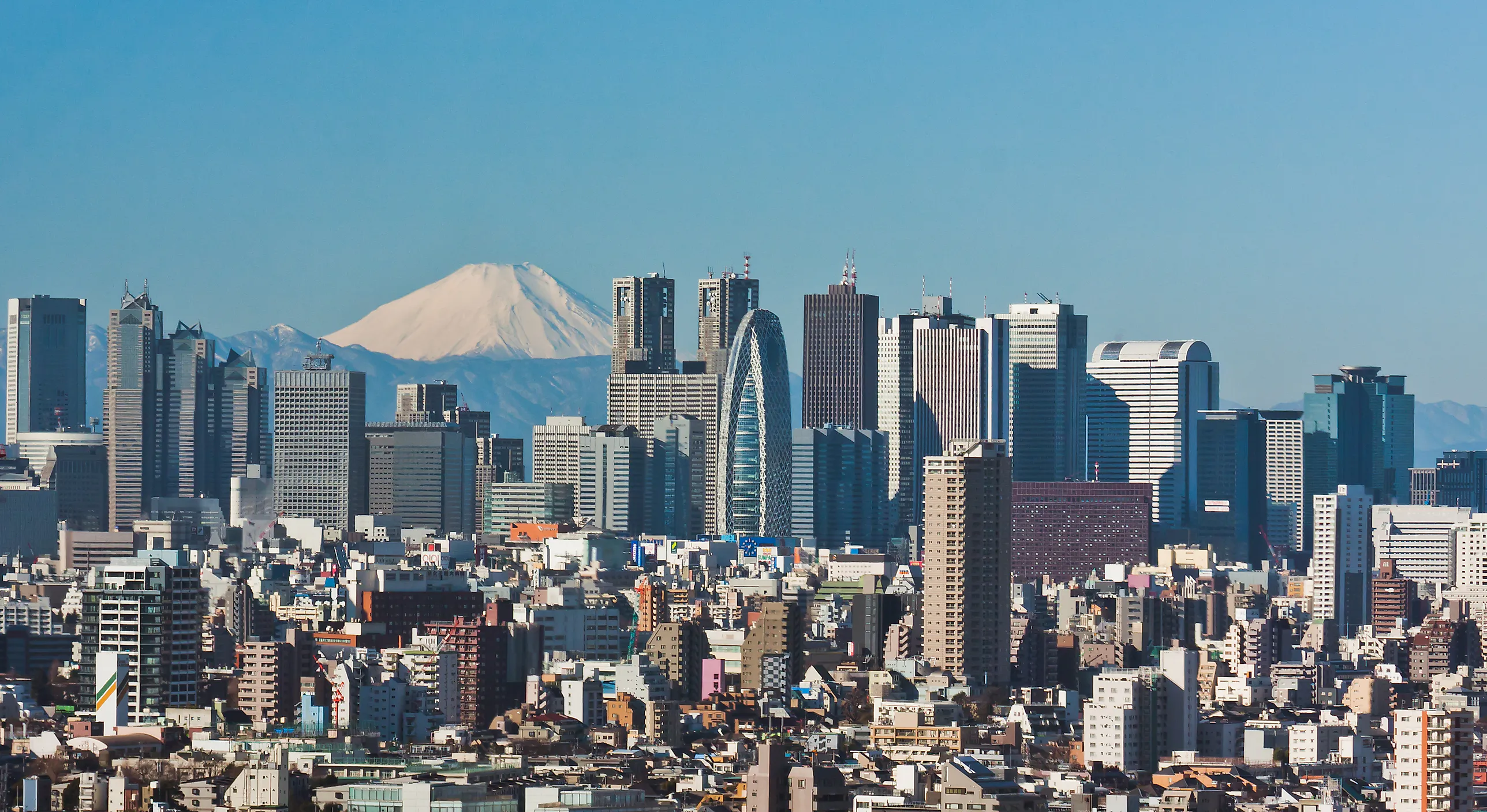 Tät bebyggelse i Tokyo med Shinjukus skyskrapor och snötäckta Fuji i bakgrunden under klarblå himmel.