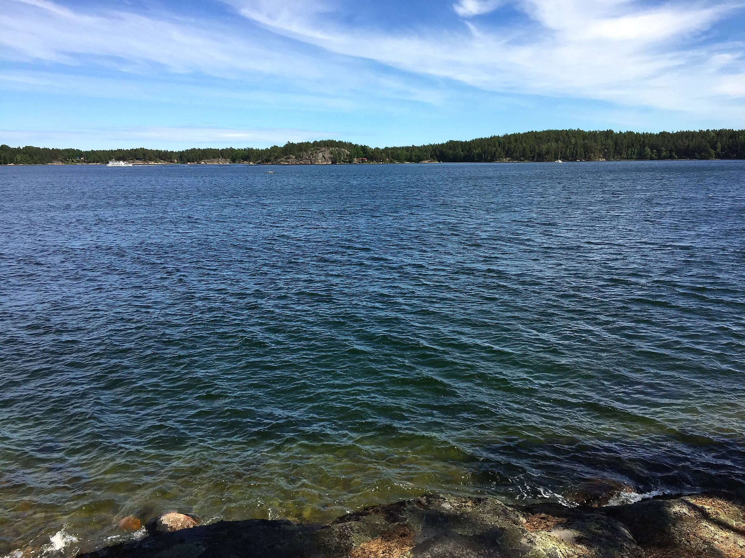 Vatten och en ö i svensk skärgård