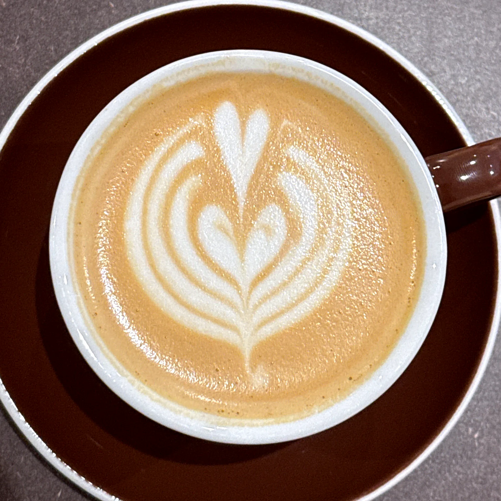 En cappuccino i vit kopp med brun utsida på brunt fat, med gyllenbrunt mjölkskum och ett vitt tulpanmönster i mitten, sett rakt ovanifrån.